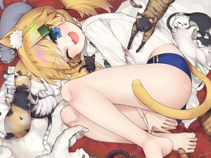 Rating: Safe Score: 84 Tags: animal animal_ears anthropomorphism ass barefoot blonde_hair bloomers blue_eyes breasts cat catgirl cat_smile girls_frontline green_eyes idw_(girls_frontline) open_shirt shirt signed tail tanyatonya tie wink User: RyuZU