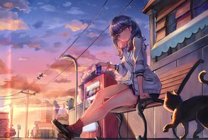 Rating: Safe Score: 120 Tags: animal black_hair blue_eyes building cat city clouds drink headphones ice_(6597201) long_hair school_uniform skirt sky socks ssss.gridman stars sunset takarada_rikka wristwear User: otaku_emmy